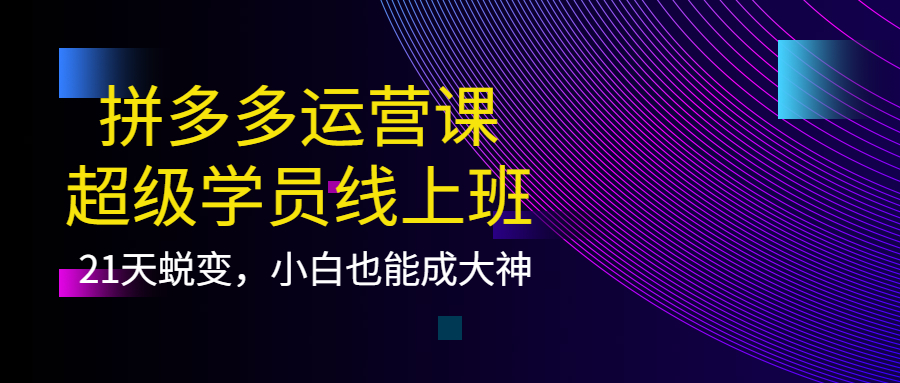 拼多多运营课：超级学员线上班，21天蜕变，小白也能成大神-优创网