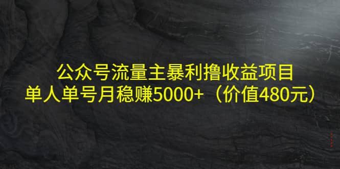 公众号流量主暴利撸收益项目，单人单号月稳赚5000+（价值480元）-优创网