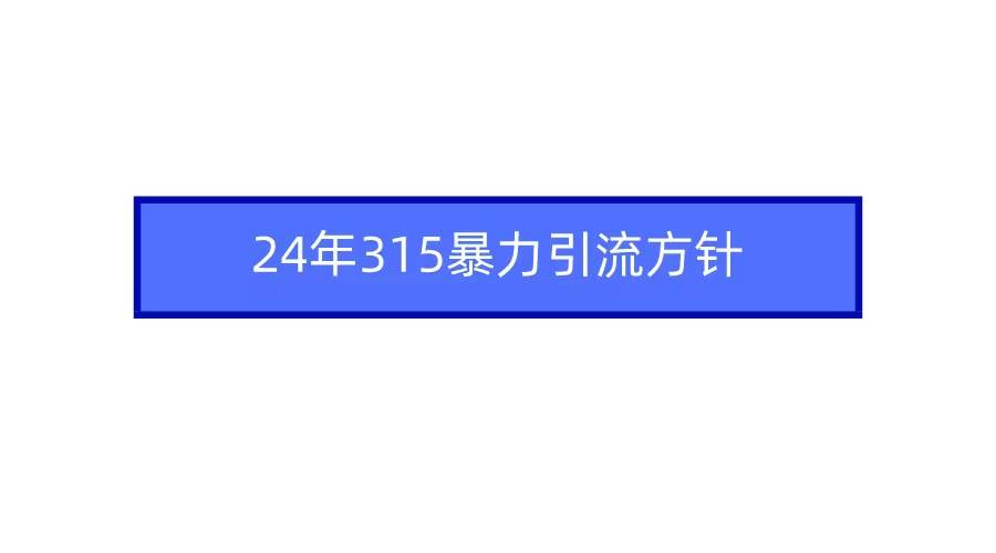 2024年315暴力引流方针-优创网