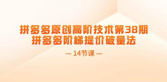 拼多多原创高阶技术第38期，拼多多阶梯提价破量法（14节课）-优创网