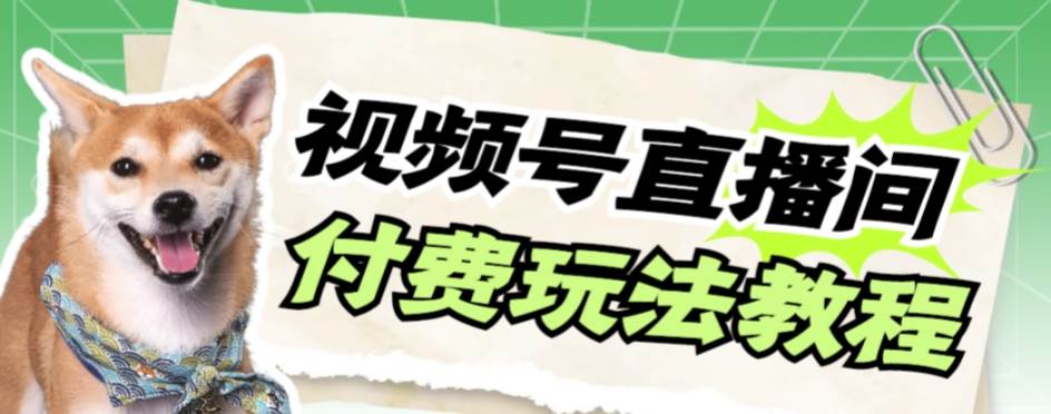 视频号美女付费无人直播，轻松日入500+【详细玩-优创网