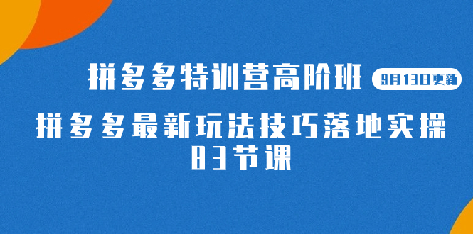 2023拼多多·特训营高阶班【9月13日更新】拼多多最新玩法技巧落地实操-83节-优创网