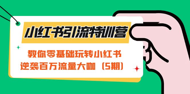 小红书引流特训营-第5期：教你零基础玩转小红书，逆袭百万流量大咖-优创网