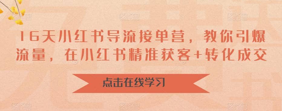 16天-小红书 导流接单营，教你引爆流量，在小红书精准获客+转化成交-优创网
