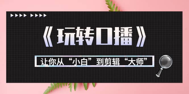 月营业额700万+大佬教您《玩转口播》让你从“小白”到剪辑“大师”-优创网