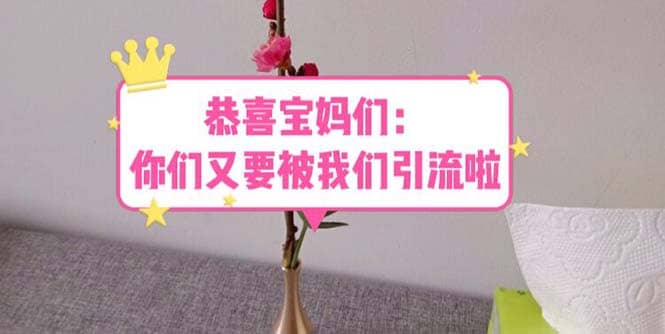 恭喜宝妈们：你们又要被我们引流了（教程+222g资料）-优创网