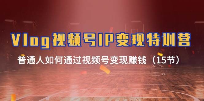 Vlog 视频号IP变现特训营，普通人如何通过视频号变现赚钱（15节）-优创网