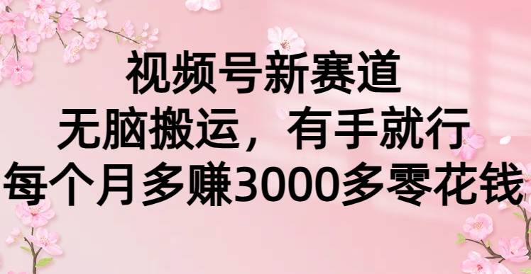 视频号新赛道，无脑搬运，有手就行，每个月多赚3000多零花钱-优创网