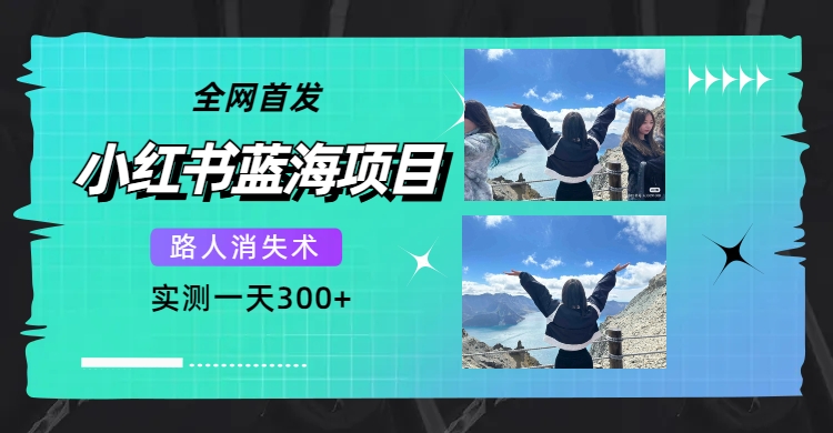全网首发，小红书蓝海项目，路人消失术，实测一天300+（教程+工具）-优创网