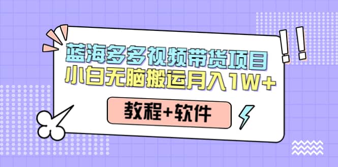 人人都能操作的蓝海多多视频带货项目 小白无脑搬运（教程+软件）-优创网