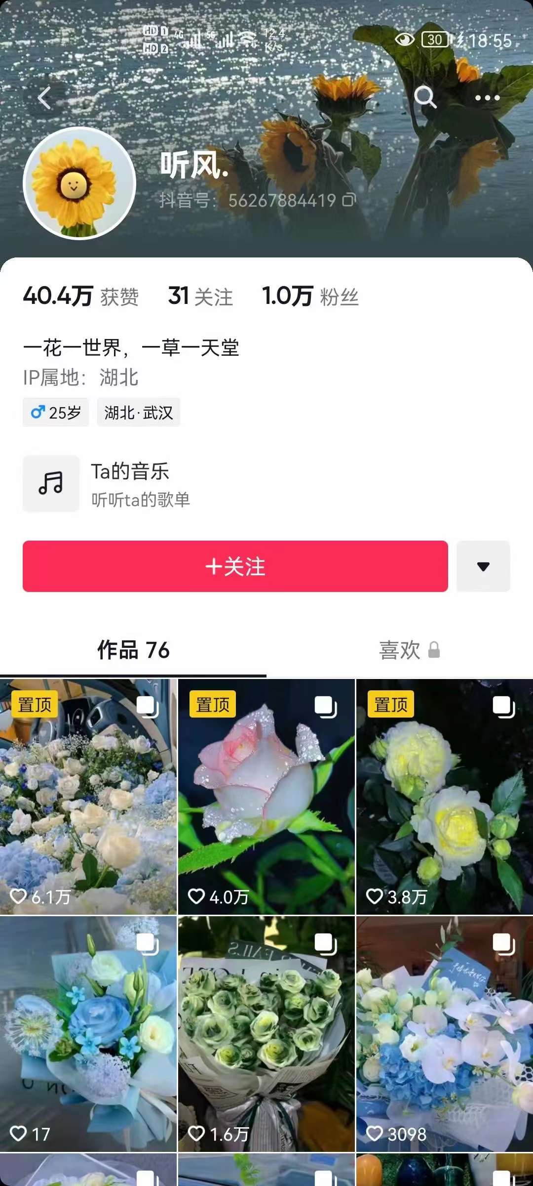 图片[2]-抖音壁纸变现项目：实战日入380+发布壁纸素材获取收益！-优创网