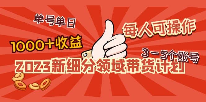 2023新细分领域带货计划：单号单日1000+收益不难，每人可操作3-5个账号-优创网