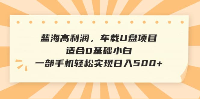 蓝海高利润，车载U盘项目，适合0基础小白，一部手机轻松实现日入500+-优创网