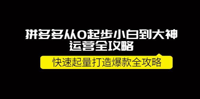 拼多多从0起步小白到大神运营全攻略-优创网