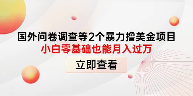 国外问卷调查等2个暴力撸美元项目，小白零基础也能月入过万-优创网