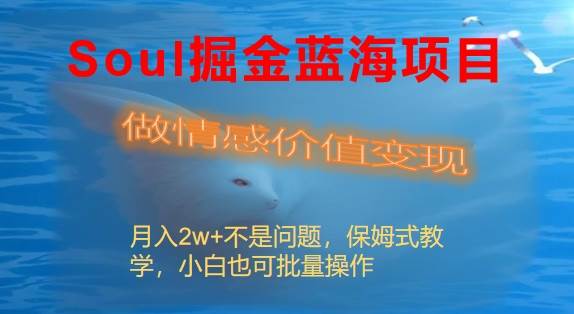 Soul掘金蓝海项目细分赛道，做情感价值变现，月入2w+不是问题-优创网