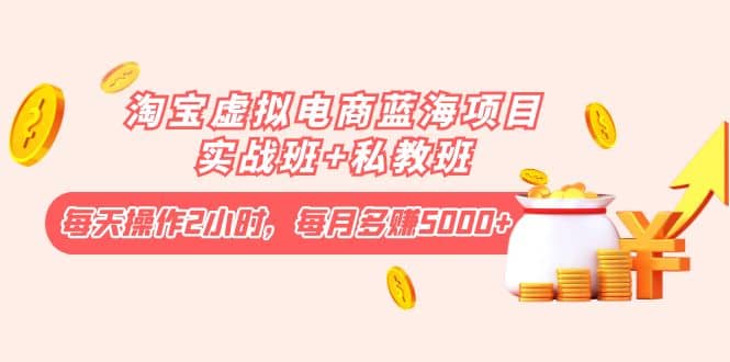 淘宝虚拟电商蓝海项目实战班+私教班-优创网