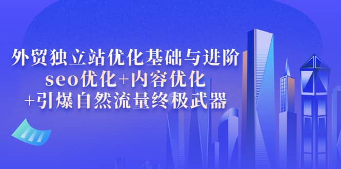 外贸独立站优化基础与进阶，seo优化+内容优化+引爆自然流量终极武器-优创网