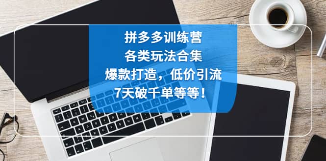 拼多多训练营：各玩法合集，爆款打造，低价引流，7天破千单等等-优创网