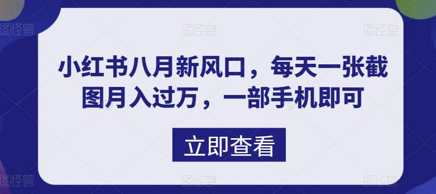 八月新风口，小红书虚拟项目一天收入1000+，实战揭秘-优创网