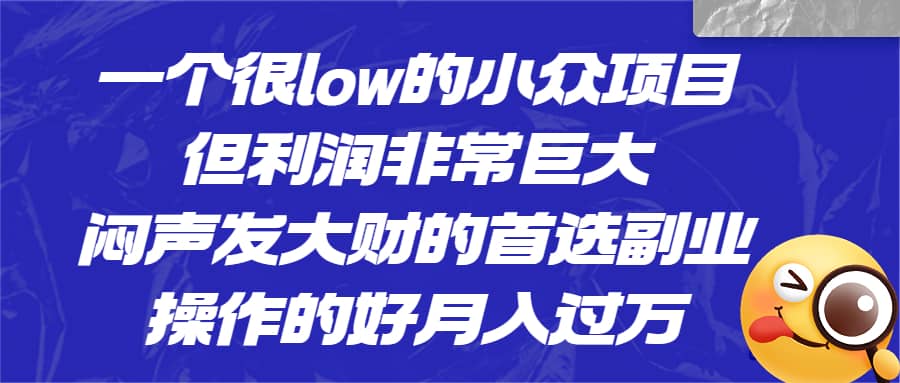 一个很low的小众项目，但利润非常巨大，闷声发大财的首选副业，月入过万-优创网