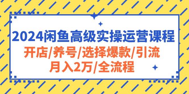 2024闲鱼高级实操运营课程：开店/养号/选择爆款/引流/月入2万/全流程-优创网