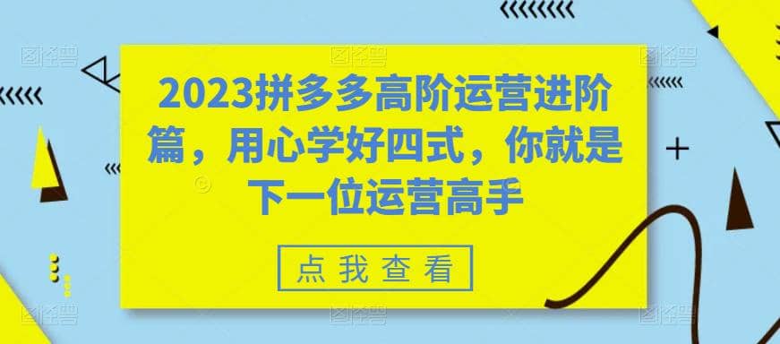 2023拼多多高阶运营进阶篇，用心学好四式，你就是下一位运营高手-优创网