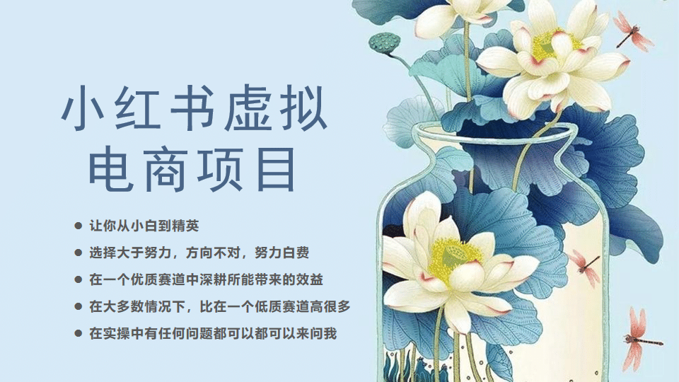 小红书虚拟电商从0到1，让你从小白到精英（20节实操课程）-优创网