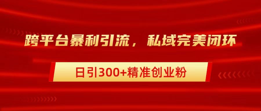 跨平台暴力引流，私域完美闭环，日引300+精准创业粉-优创网