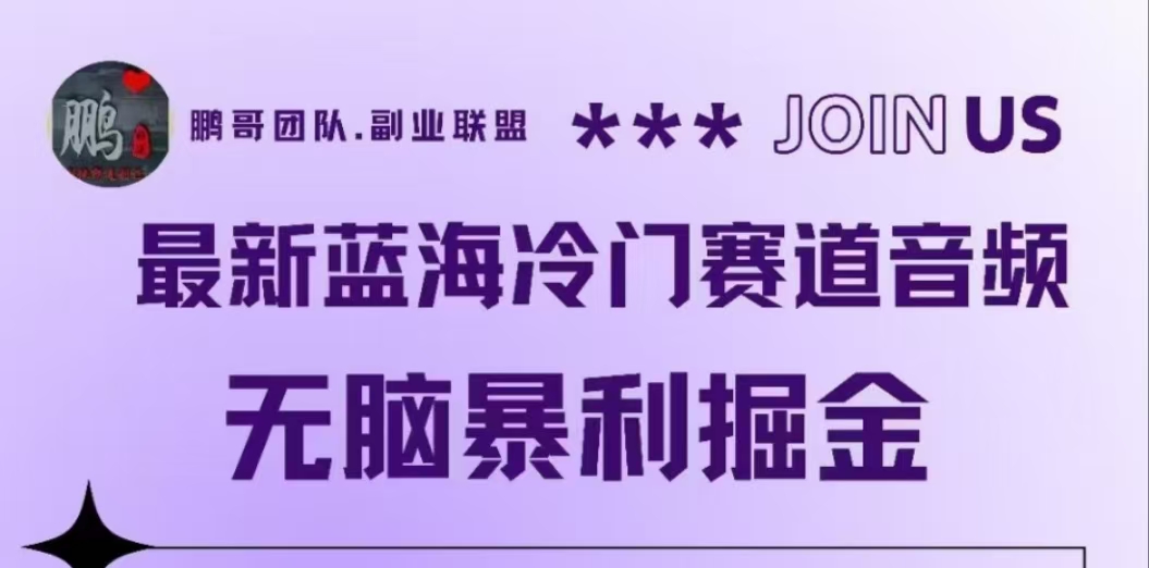 最新蓝海冷门赛道音频，无脑暴利掘金-优创网