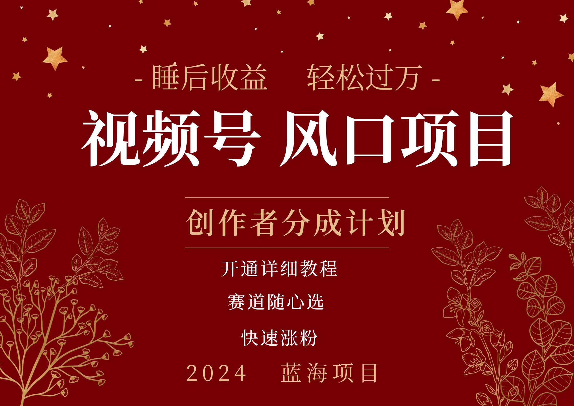 拥有睡眠收益的微信视频号大风口项目，轻松月入过万+，多赛道选择，可矩阵，玩法简单轻松上手-优创网