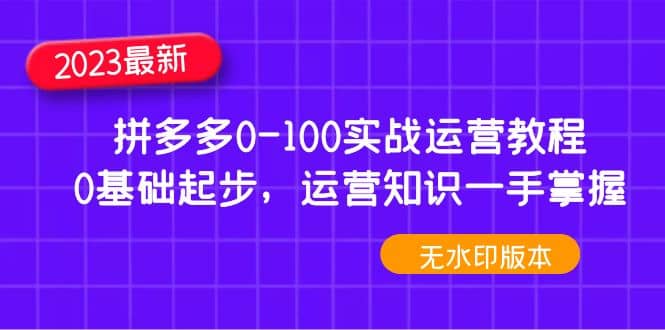 2023拼多多0-100实战运营教程，0基础起步，运营知识一手掌握（无水印）-优创网