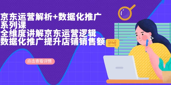 京东运营解析与数据化推广系列课，全维度讲解京东运营逻辑+数据化推广提升店铺销售额-优创网