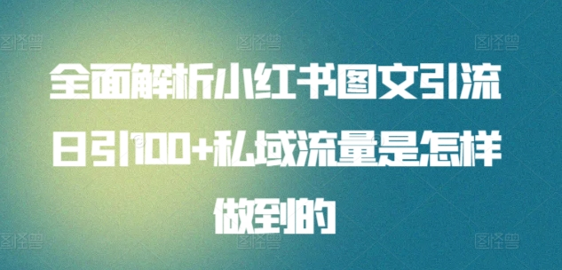 日引流100私域流量小红书图文是怎样做到的全面解析-优创网