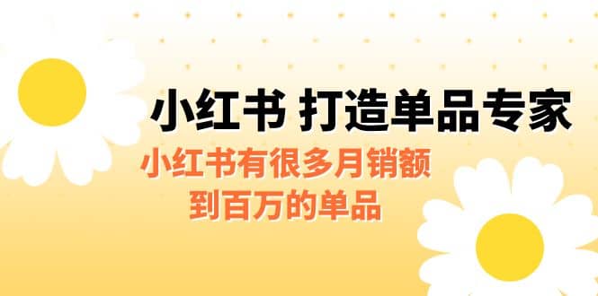 某公众号付费文章《小红书 打造单品专家》小红书有很多月销额到百万的单品-优创网