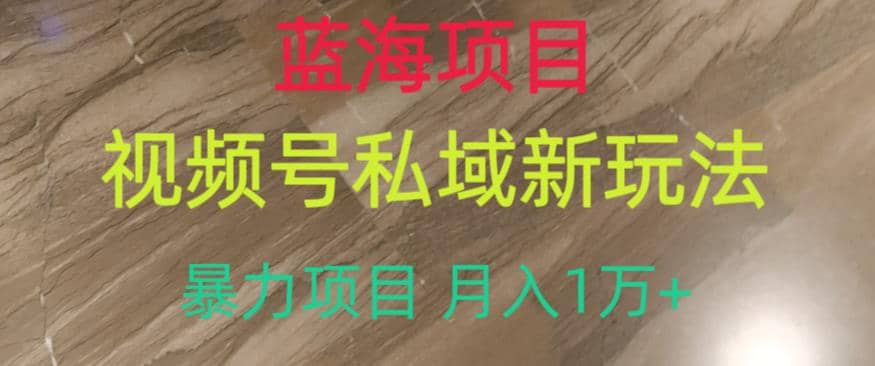 蓝海项目，视频号私域新玩法，暴力项目月入1万+【揭秘】-优创网