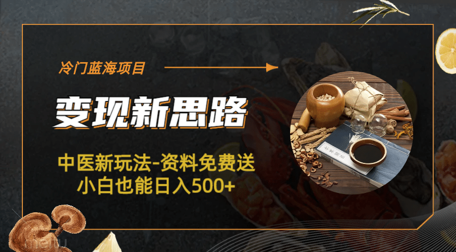 冷门蓝海项目-中医新玩法-冷门蓝海项目-中医新玩法-资料免费送小白也能日入500+500+-优创网