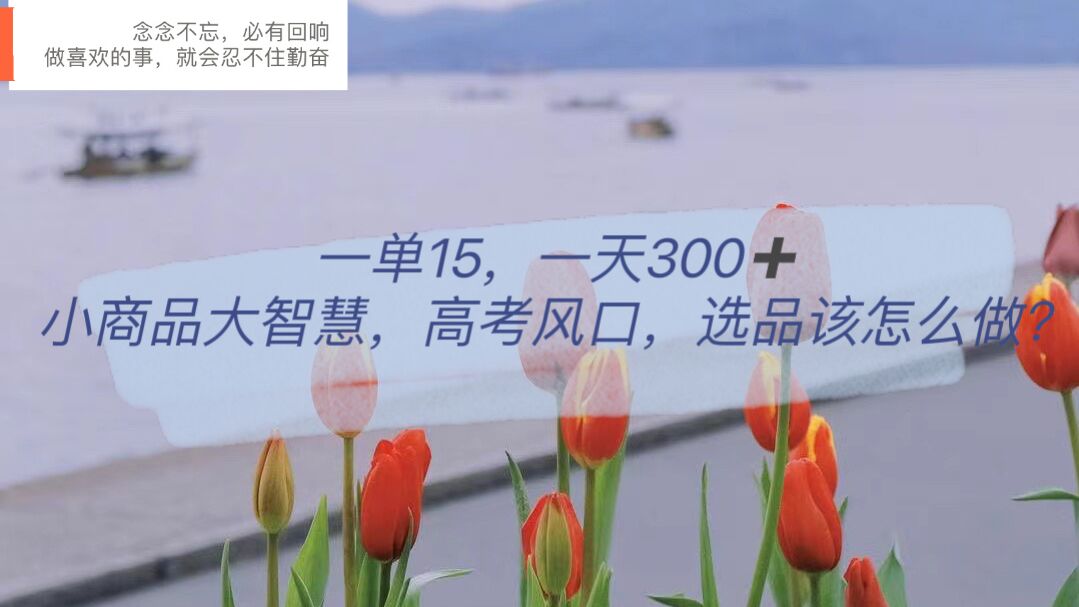 一单15，一天300+，小商品大智慧，高考风口，选品该怎么布局-优创网