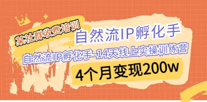某社群收费培训：自然流IP 孵化手-14天线上实操训练营 4个月变现200w-优创网