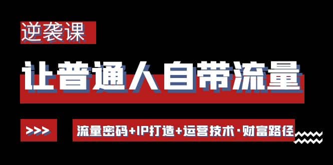 让普通人自带流量的逆袭课：流量密码+IP打造+运营技术·财富路径-优创网