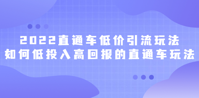 2022直通车低价引流玩法，教大家如何低投入高回报的直通车玩法-优创网