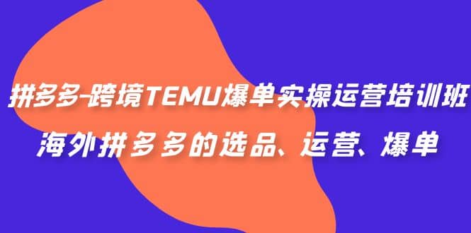 拼多多-跨境TEMU爆单实操运营培训班，海外拼多多的选品、运营、爆单-优创网