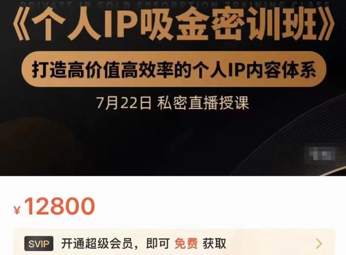 个人IP吸金密训班，打造高价值高效率的个人IP内容体系（价值12800元）-优创网