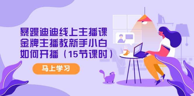暴躁迪迪线上主播课，金牌主播教新手小白如何开播（15节课时）-优创网