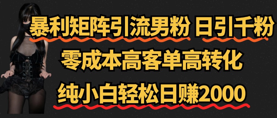 暴利矩阵引流男粉（日引千粉），零成本高客单高转化，纯小白轻松日赚2000+-优创网