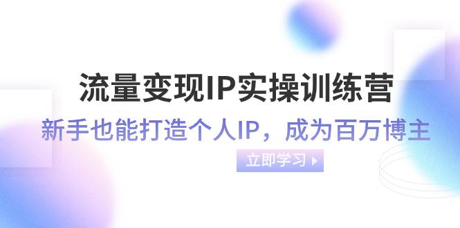 流量变现-IP实操训练营：新手也能打造个人IP，成为百万博主（46节课）-优创网