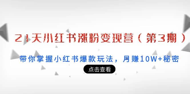 21天小红书涨粉变现营（第3期）：带你掌握小红书爆款玩法，月赚10W+秘密-优创网