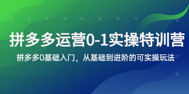拼多多-运营0-1实操训练营，拼多多0基础入门，从基础到进阶的可实操玩法-优创网