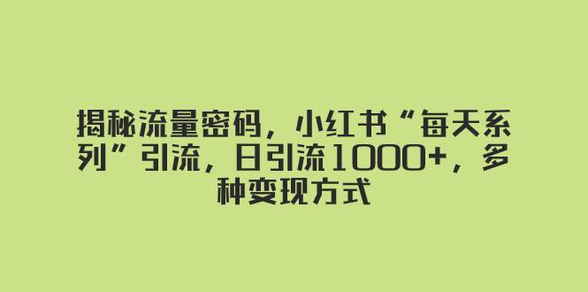 揭秘流量密码，小红书“每天系列”引流，日引流1000+，多种变现方式-优创网