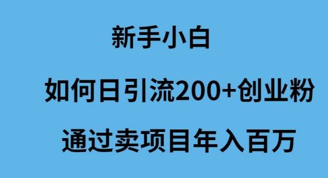 新手小白如何日引流200+创业粉通过卖项目年入百万-优创网